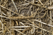 empty