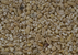 empty