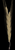 empty
