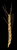 empty